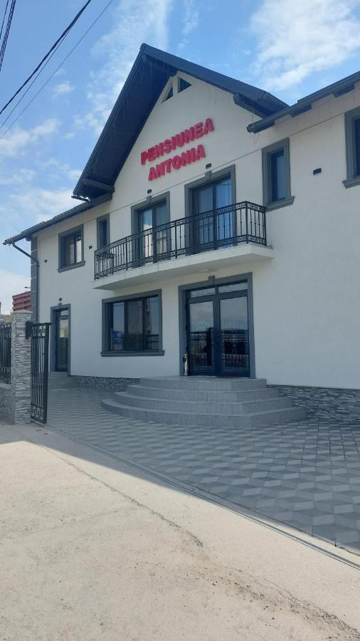 Pensiunea Antonia Sighetu Marmaţiei 外观 照片