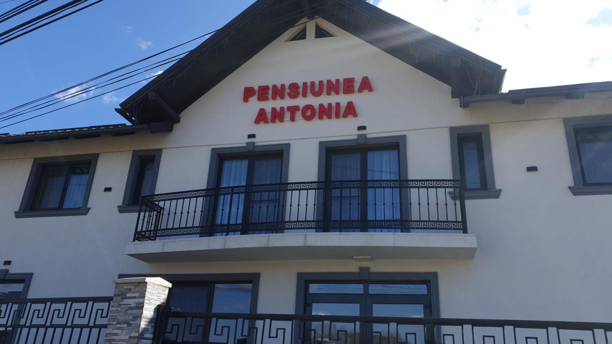 Pensiunea Antonia Sighetu Marmaţiei 外观 照片