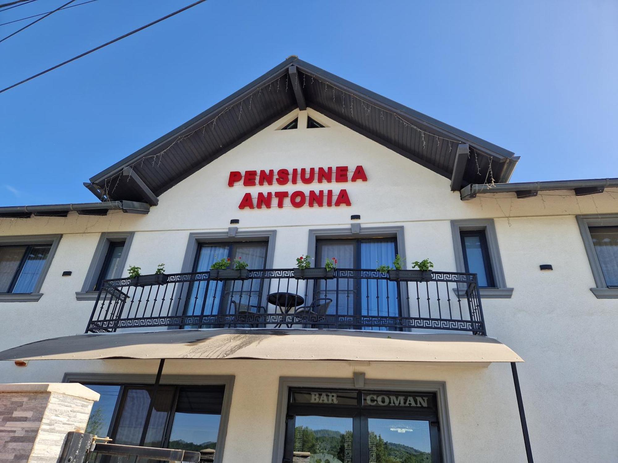Pensiunea Antonia Sighetu Marmaţiei 客房 照片
