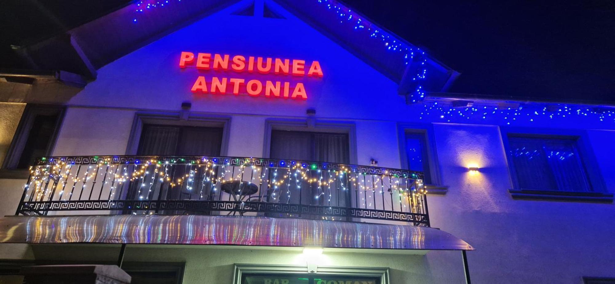 Pensiunea Antonia Sighetu Marmaţiei 外观 照片